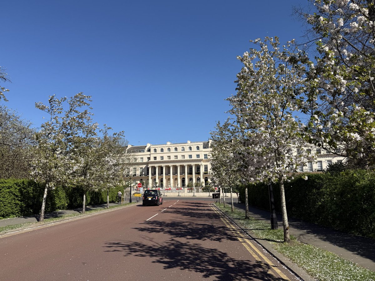 sean thomas knox tweet media