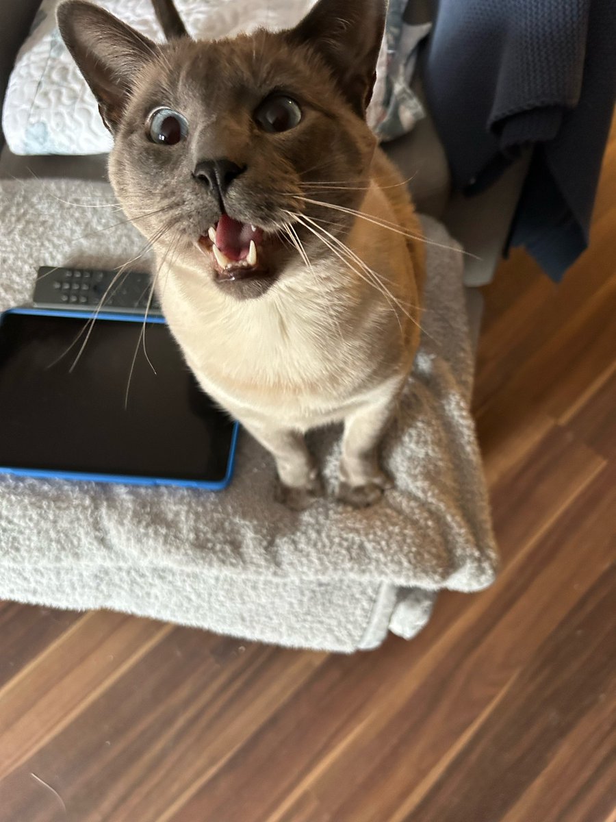 Debbie Graham tweet media