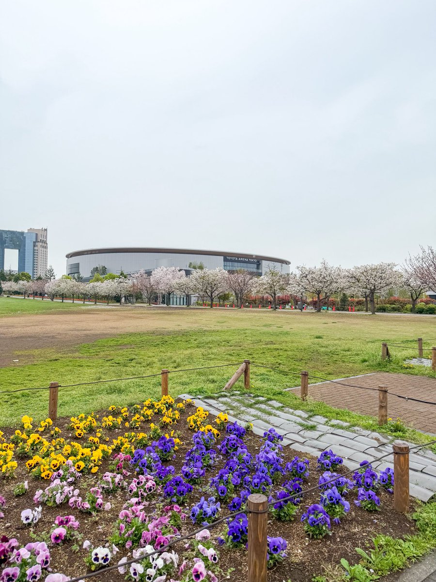 サンディー tweet media