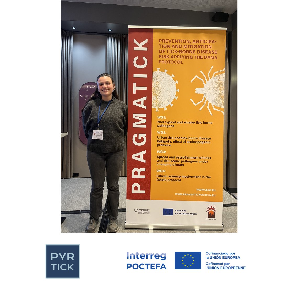 Pyrtick Poctefa tweet media