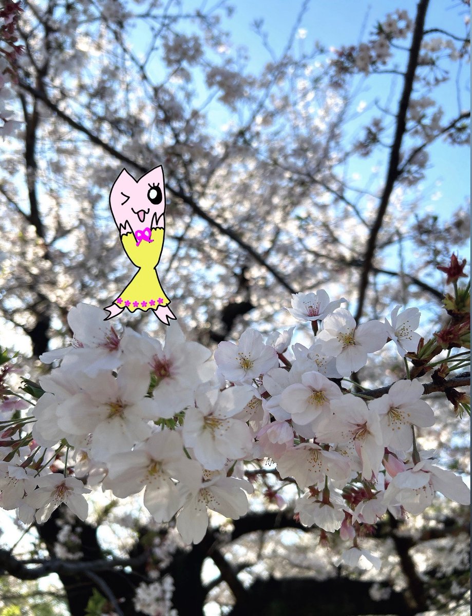 堀内まり菜 official tweet media