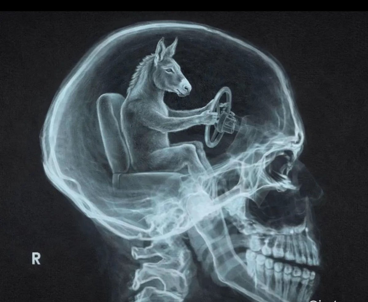 دلال العواد tweet media