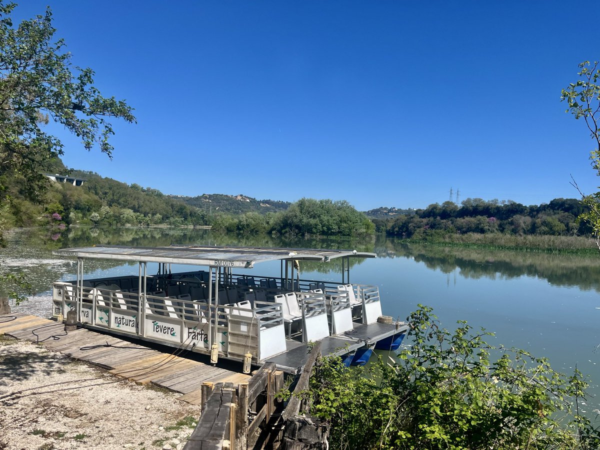 marpetre's tweet photo. La primavera è ufficialmente arrivata in Riserva! ✨ Il verde si fa più vivo e l'aria più dolce 🦋🌼 #RiservaNaturale #Primavera  #Tevere @RegioneLazio @visit_lazio https://t.co/M8hAXgt1i9