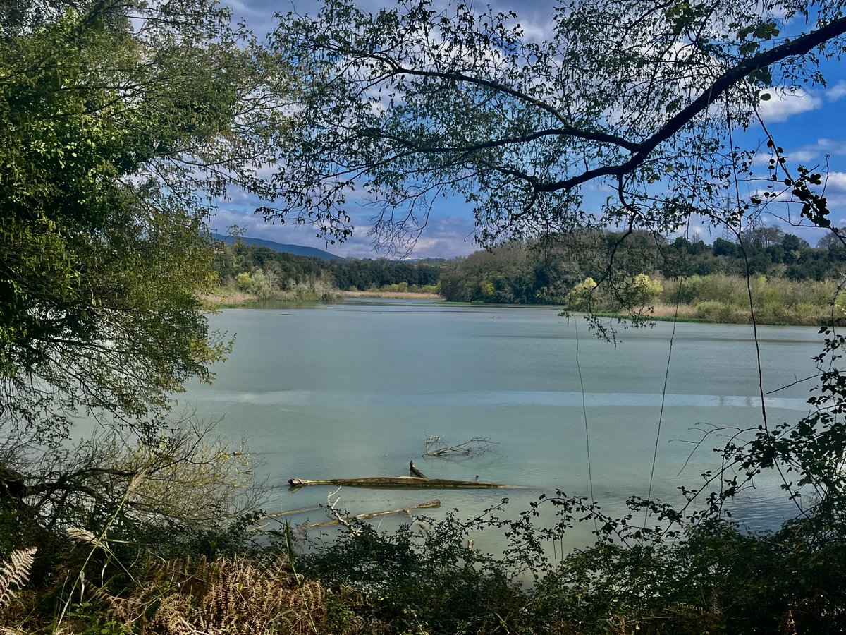 marpetre's tweet photo. La primavera è ufficialmente arrivata in Riserva! ✨ Il verde si fa più vivo e l'aria più dolce 🦋🌼 #RiservaNaturale #Primavera  #Tevere @RegioneLazio @visit_lazio https://t.co/M8hAXgt1i9