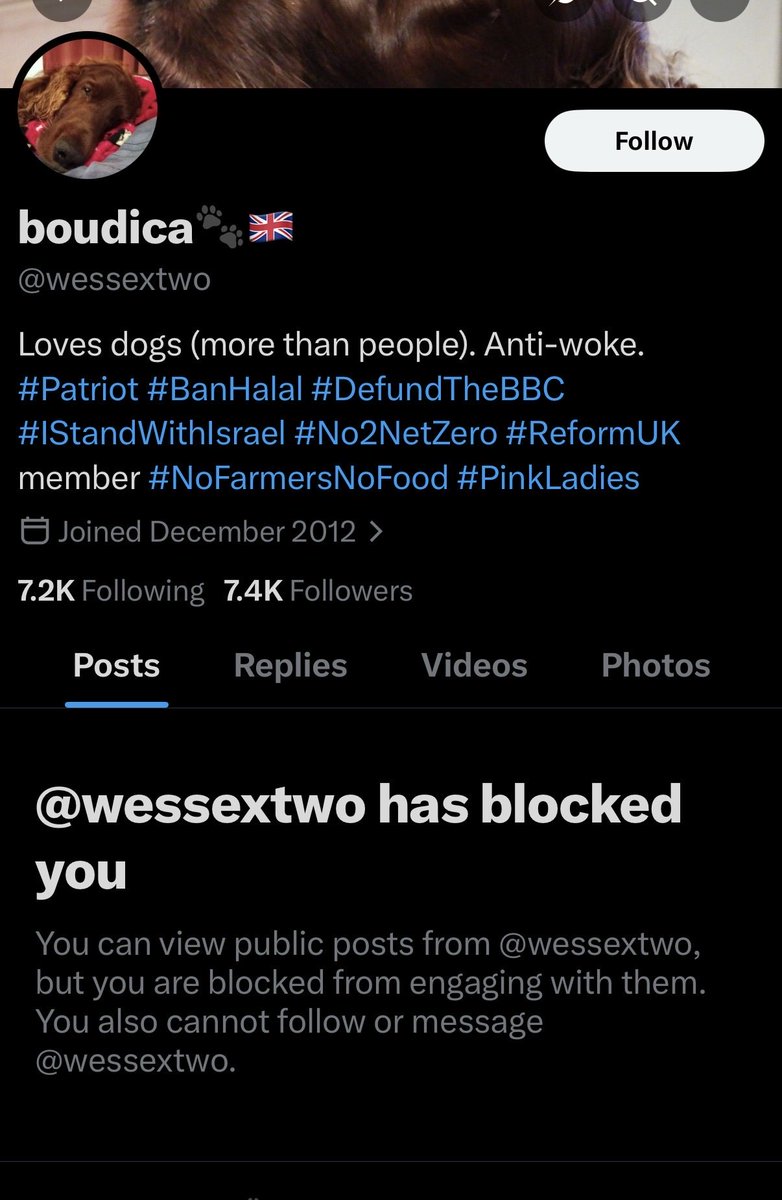 Matthew Horner tweet media