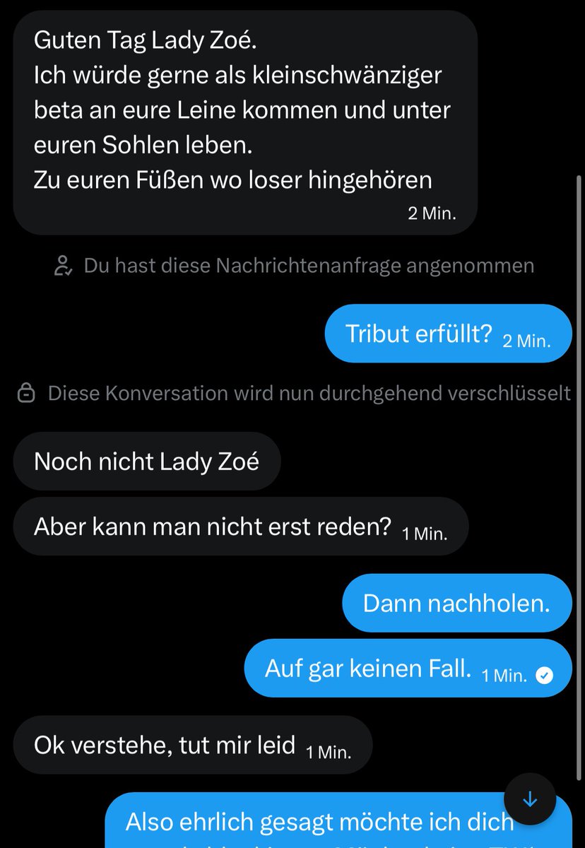 lady zoé 14k tweet media