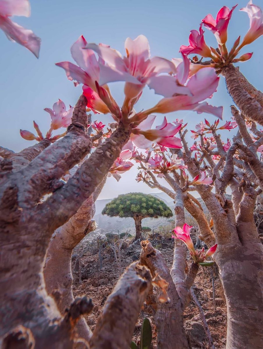 Black Hole tweet media