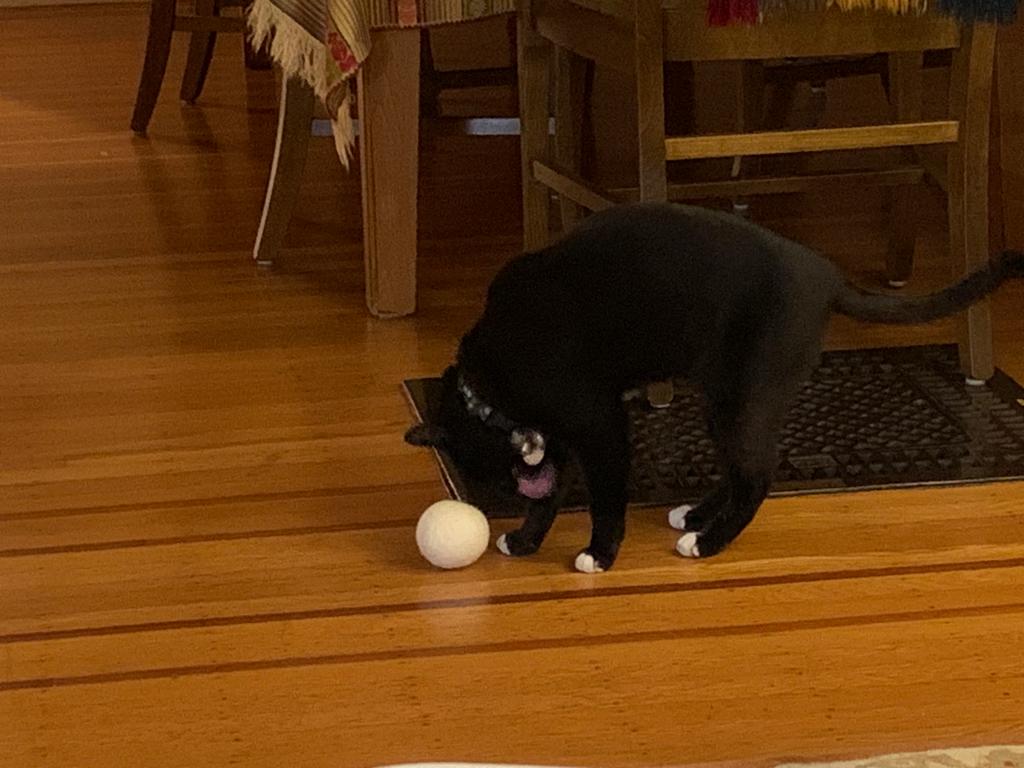 Harriet the Spy tweet media