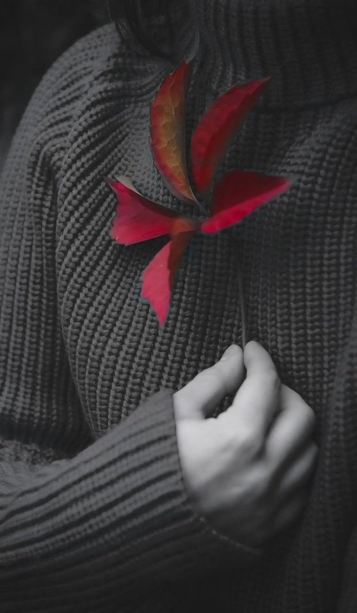 İçindeki huzuru bul, dışarıdaki karmaşayı kontrol edemezsin.

 Marcus Aurelius