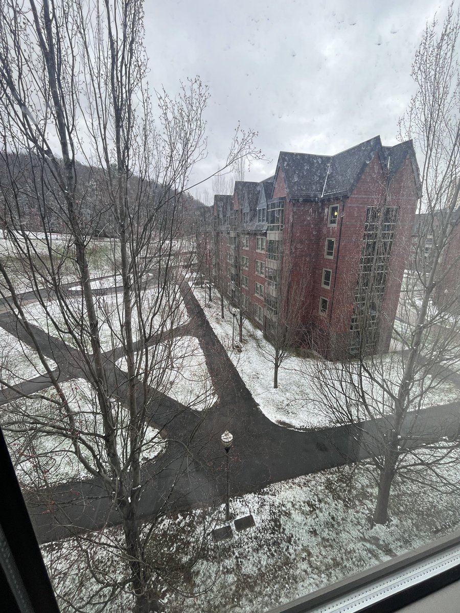 spiida34's tweet photo. Mind you we in April 😭🫩#Massachusetts 
#College https://t.co/TVj0lHqogD