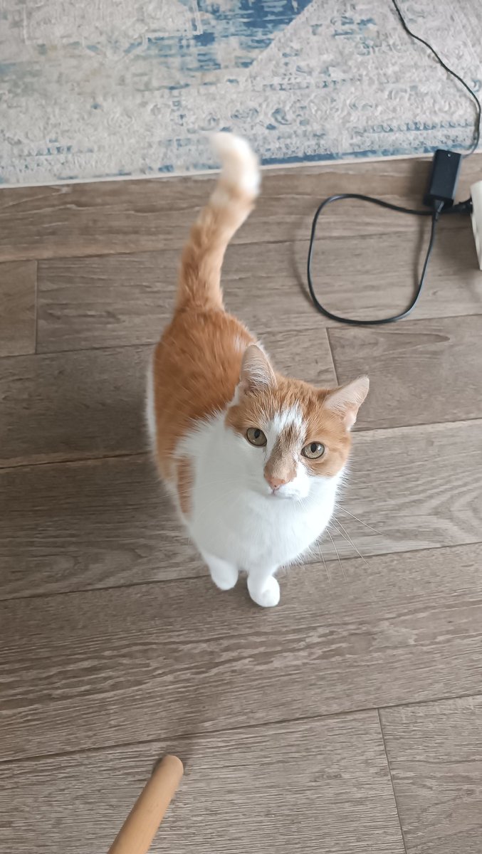 he came