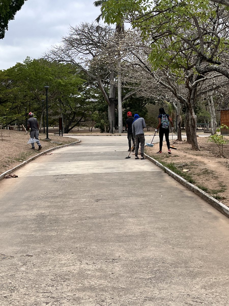 Maria Gabriela Escovar tweet media