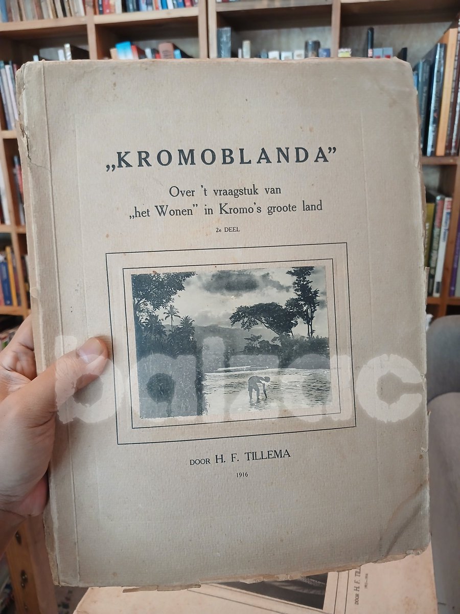 Harri Gieb tweet media