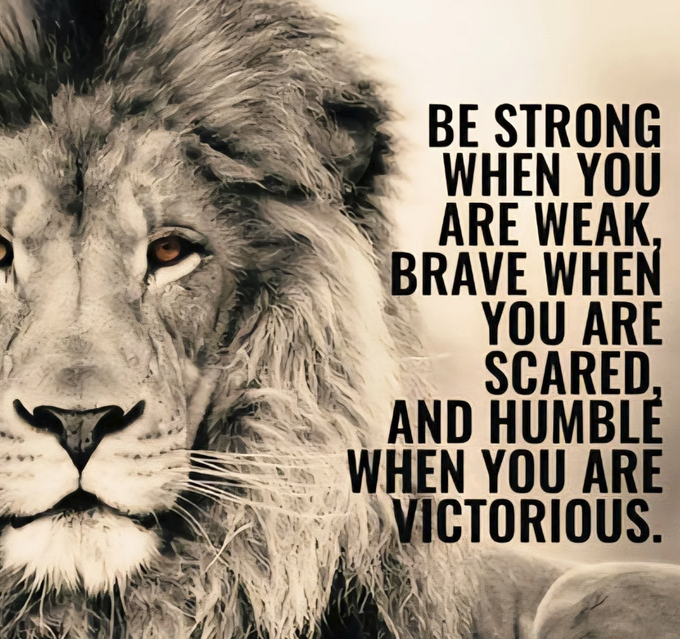 FiveFitness's tweet image. Don't be arrogant, ignorant or weak minded. Deep down you know the true power that you have. Let it be known through your efforts why you deserve to be successful..   

#Motivation #LionMindset #Mentality #Success #Goals #Dreams