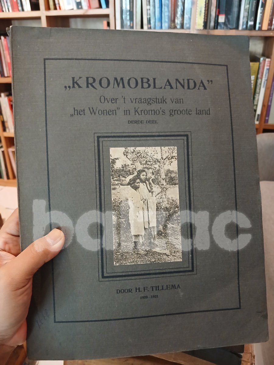 Harri Gieb tweet media