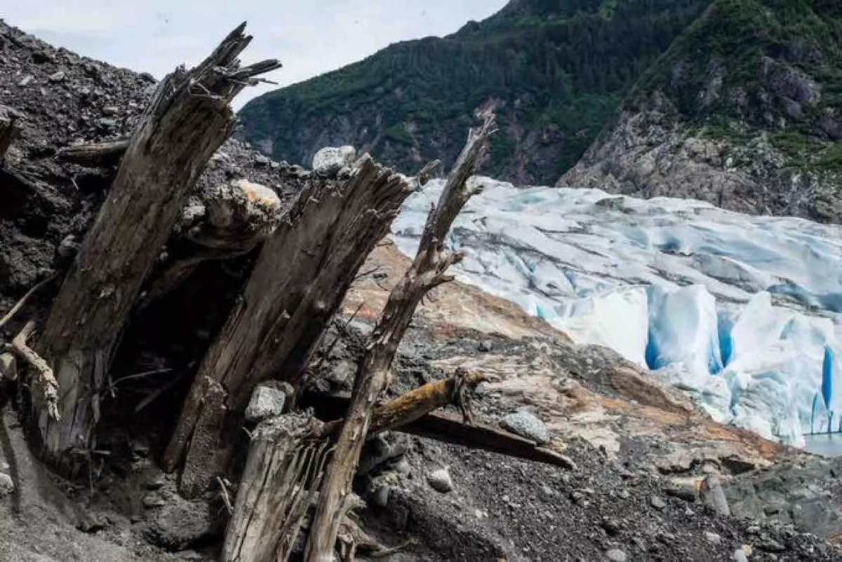 André Arthur Live du Paradis ✨ tweet media