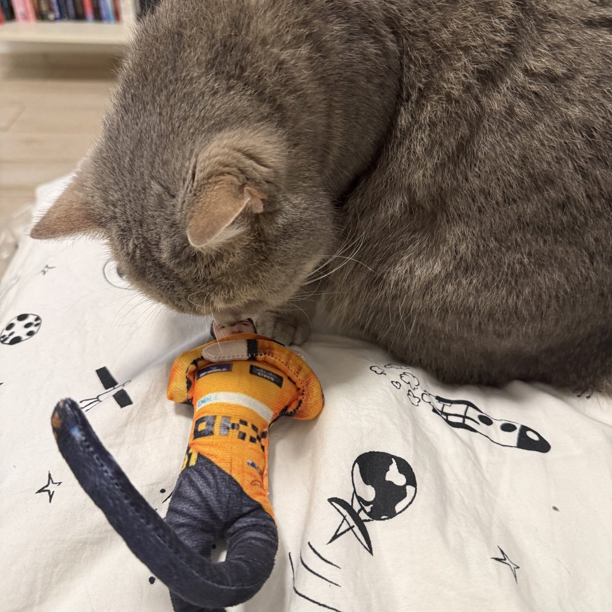 kai 𓂆 tweet media