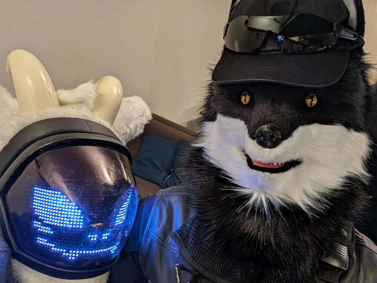 #FursuitEveryday #ケモダーツ2
PMCとOISD✌️

🐺<a href="/nomusan001/">nomusan001　NEXT➡️未定</a>