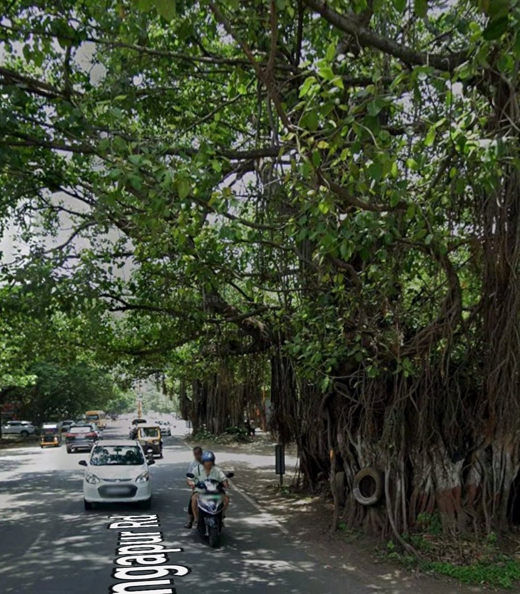 RushikeshH tweet media