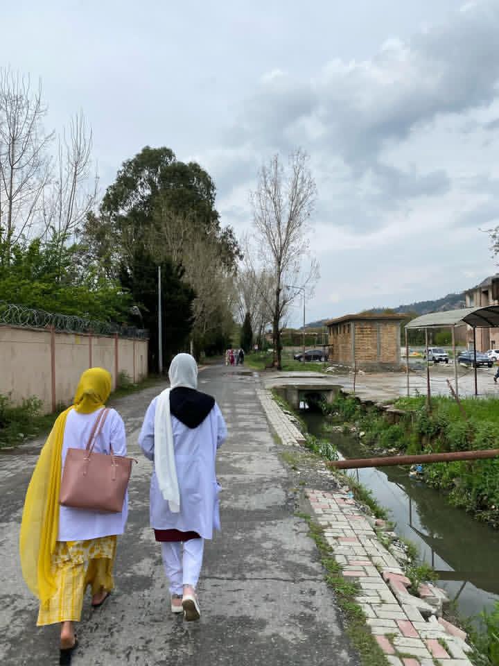 Panra 🌿 tweet media