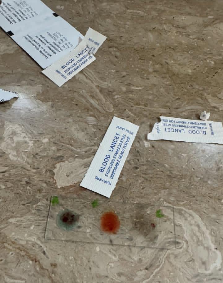 Panra 🌿 tweet media