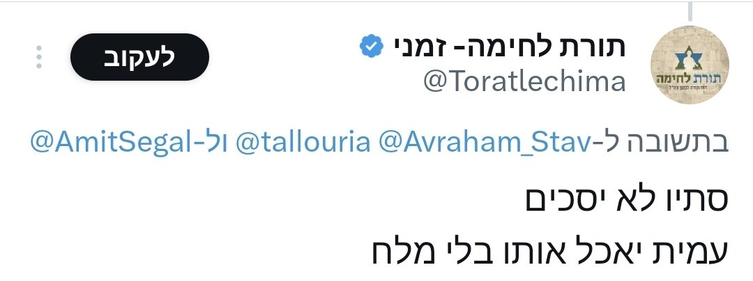 טל לוריא tweet media