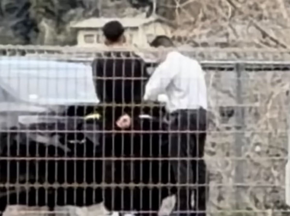 第二のデスドル tweet media