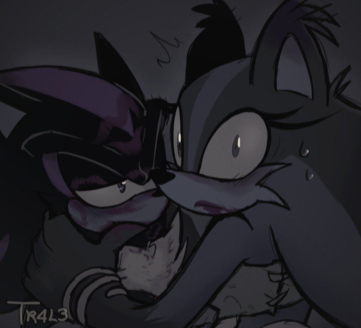 #ShadSticks #ChaosTheory #SticksTheBadger #ShadowTheHedgehog