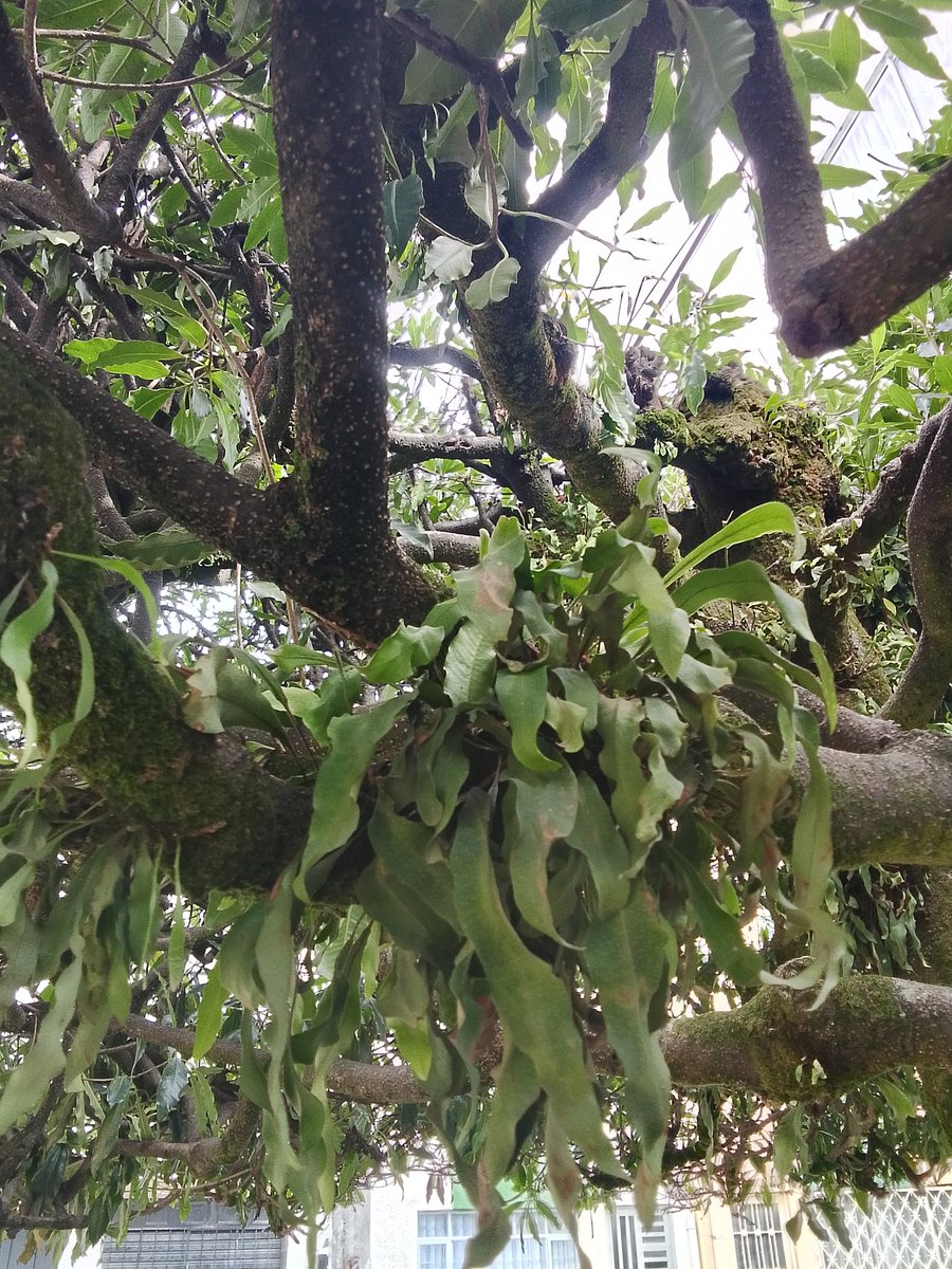 Mabel Hernández Molina tweet media