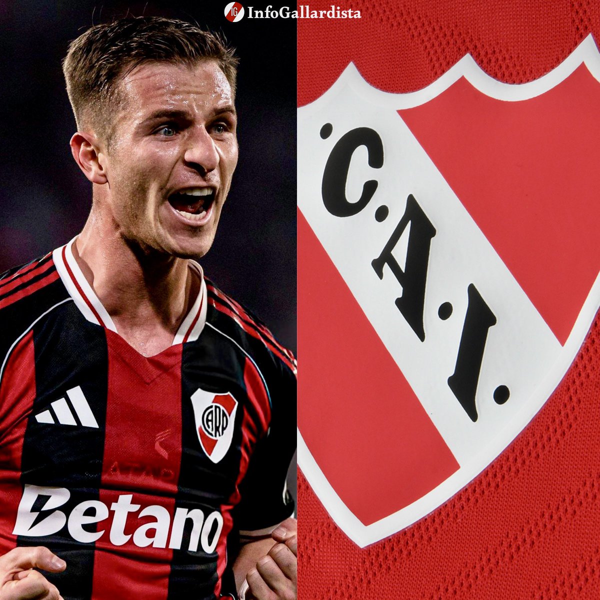 Info Gallardista tweet media