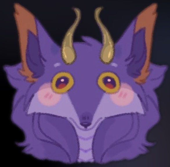 ✨️ Wolphi ✨️ tweet media