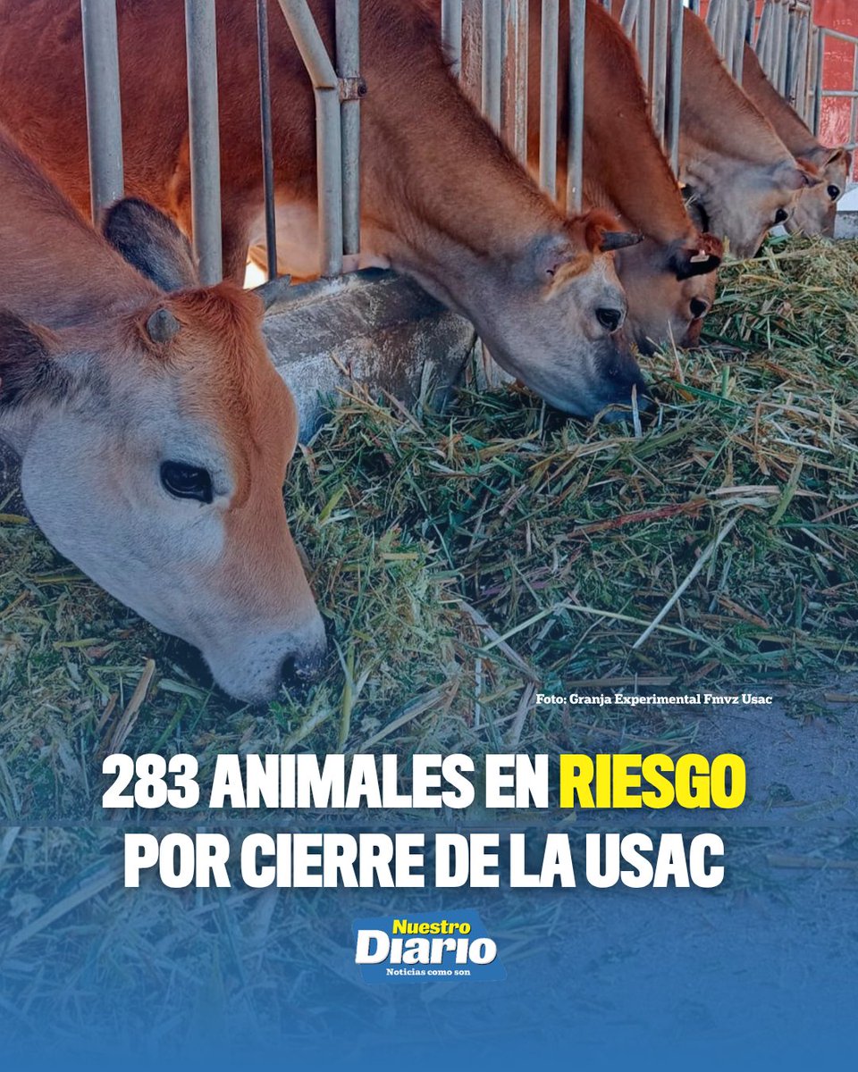 Nuestro Diario tweet media