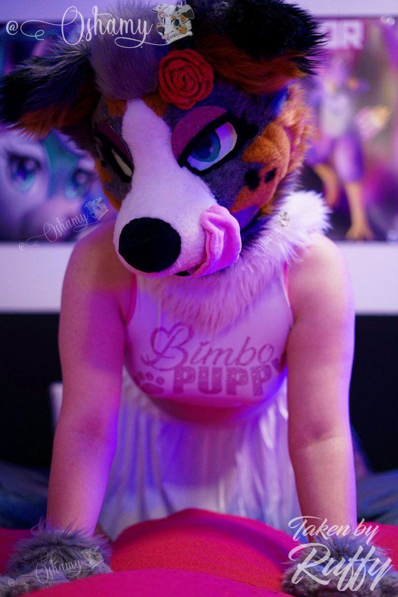 OshamyFurry's tweet photo. ~ Your puppy is waiting! ππ₯°π
#furry #fursuit #murrsuit #softsuit #oshamy https://t.co/4i2aDbYvYA
