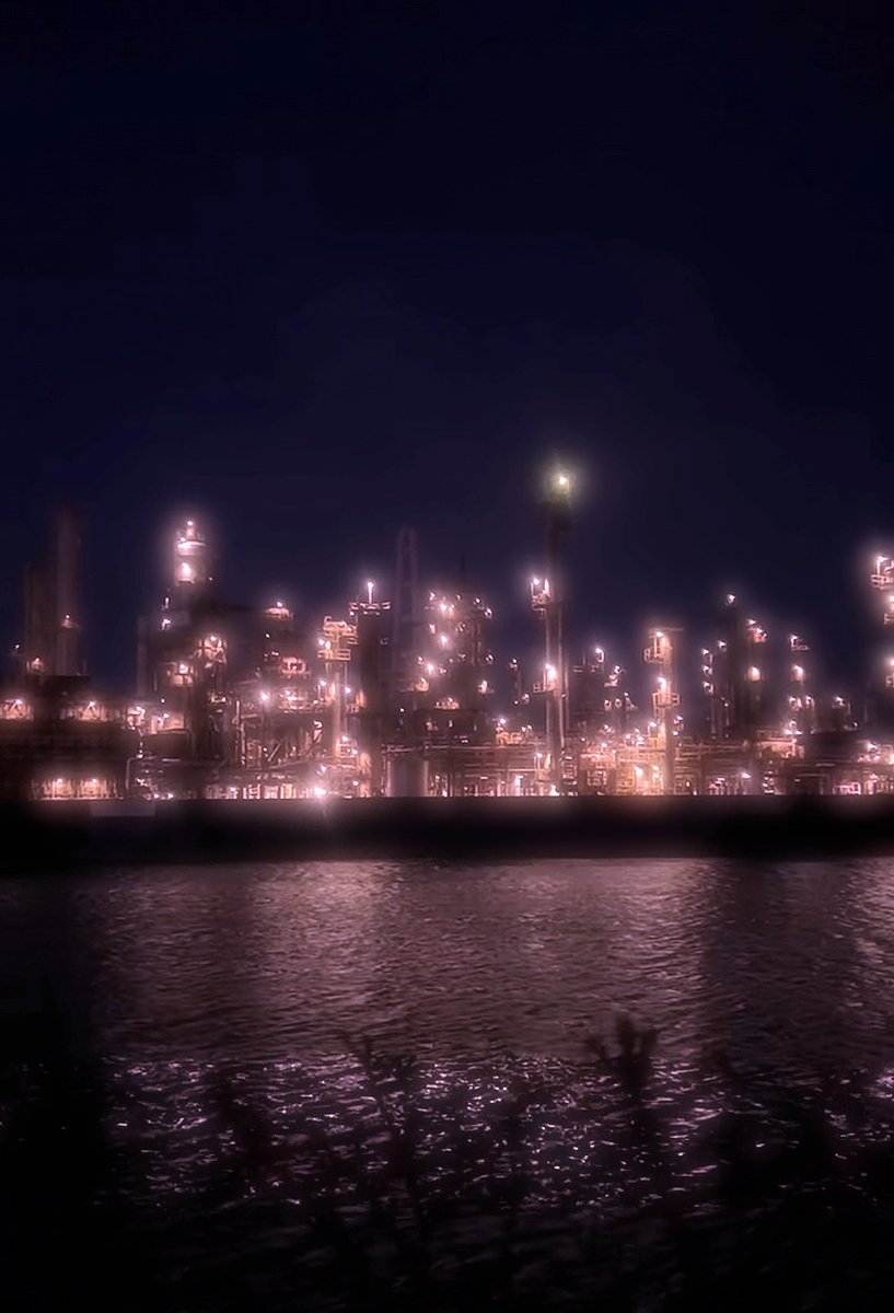 にゃんとにゃけ tweet media