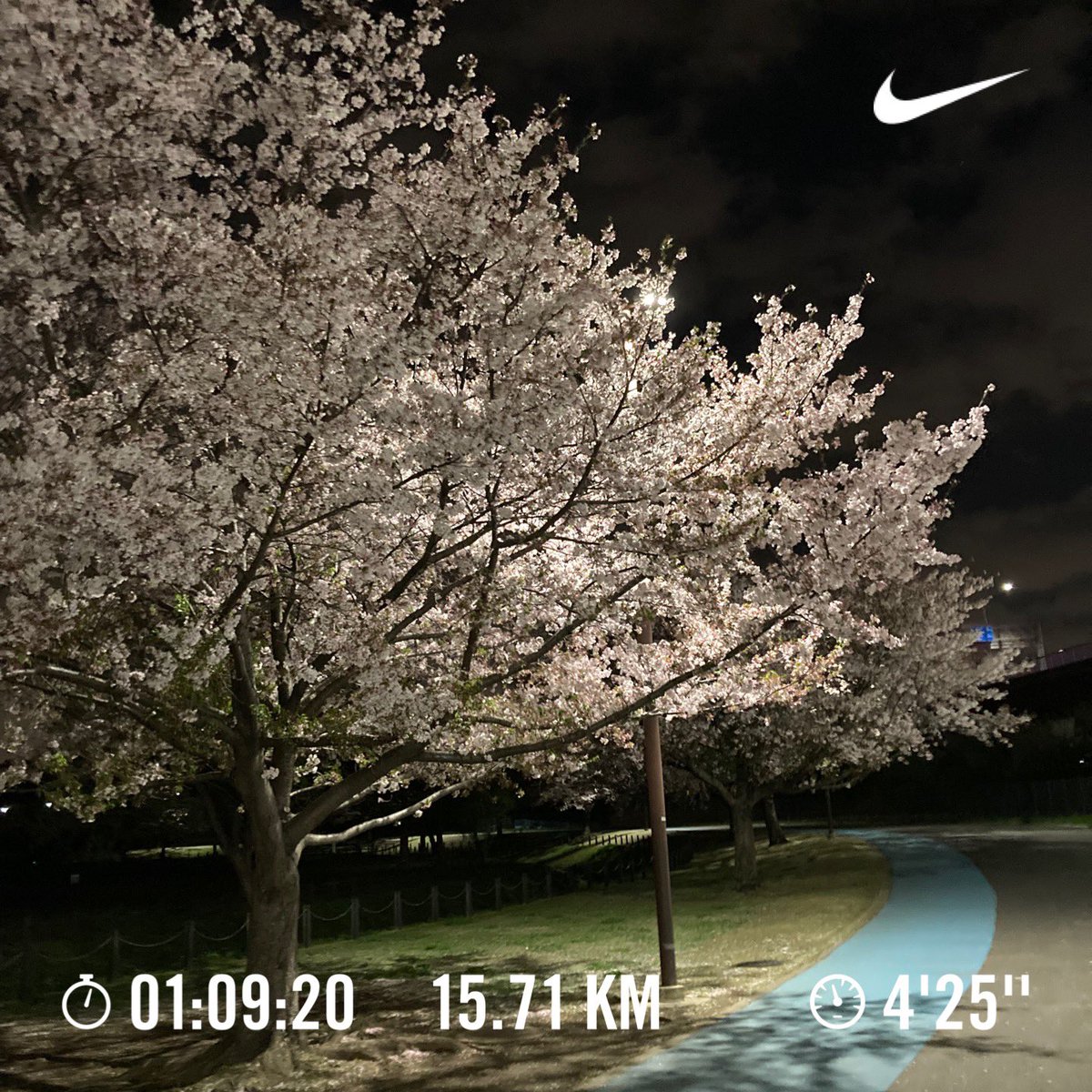 ギンモモ2 tweet media