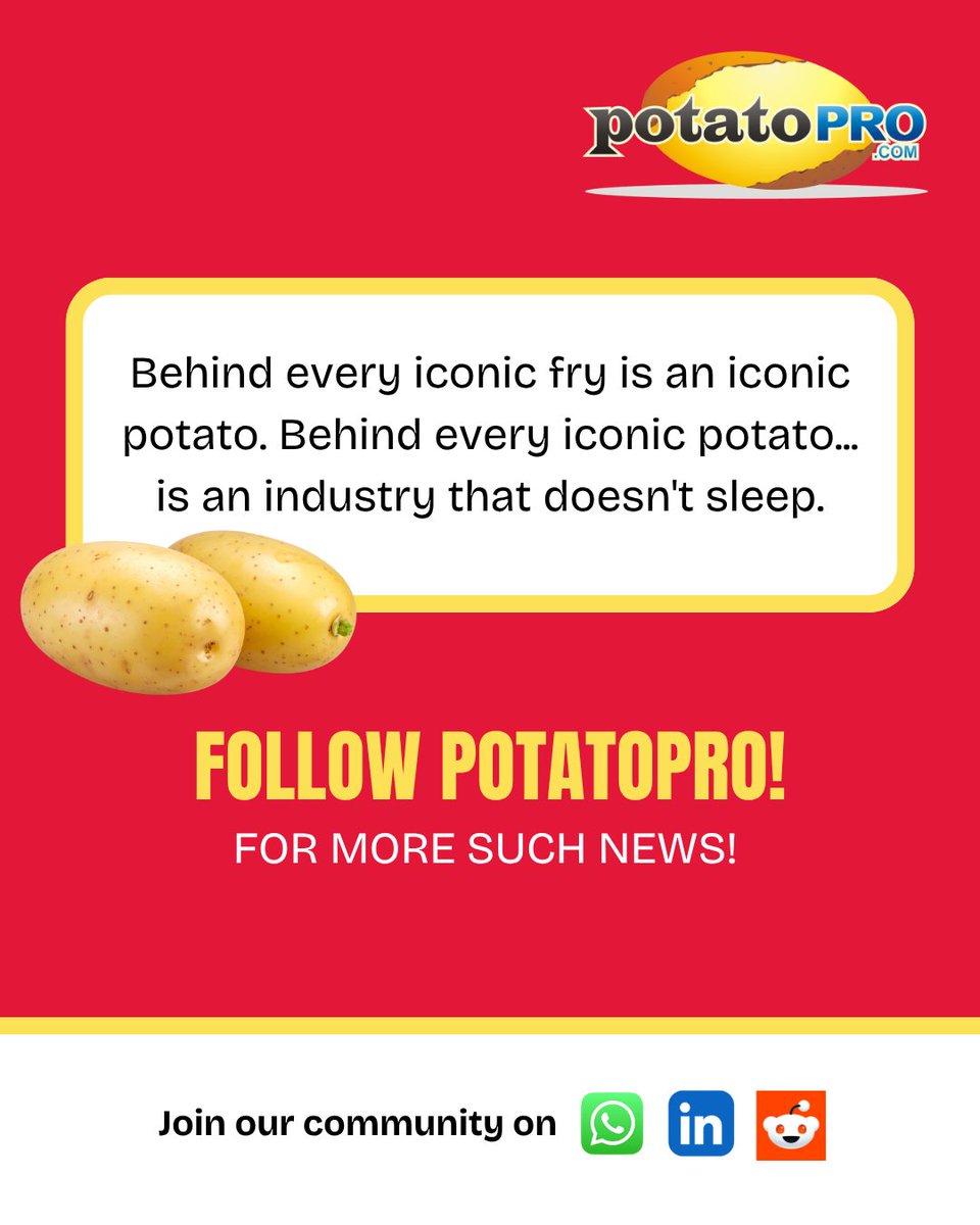 PotatoPro tweet media