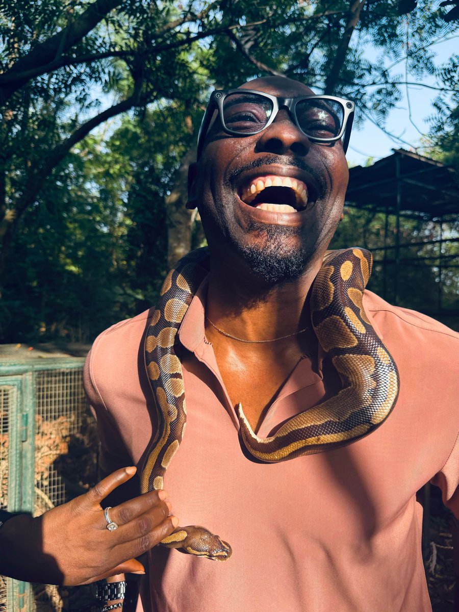 J. C. Okechukwu tweet media