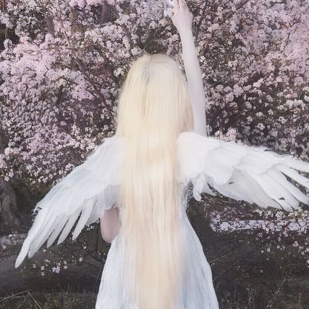 🦴🪽 tweet media