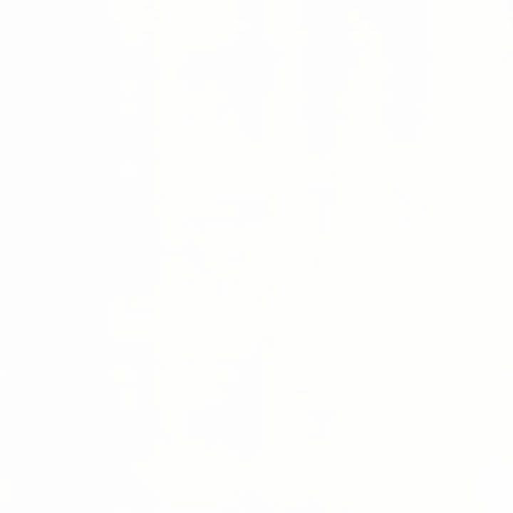 🦴🪽 tweet media