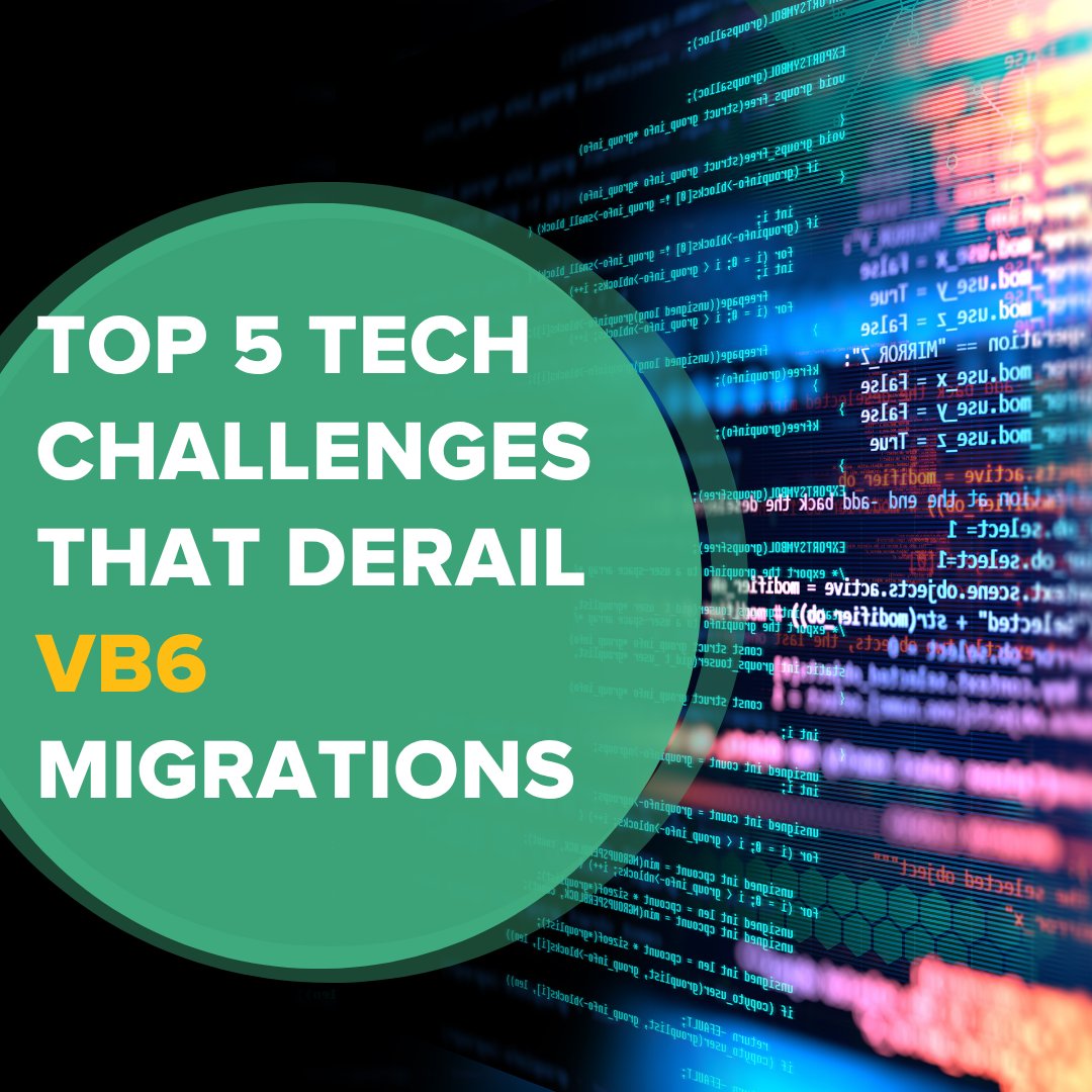 DeeDee Walsh ⛷🎿❄️ tweet media