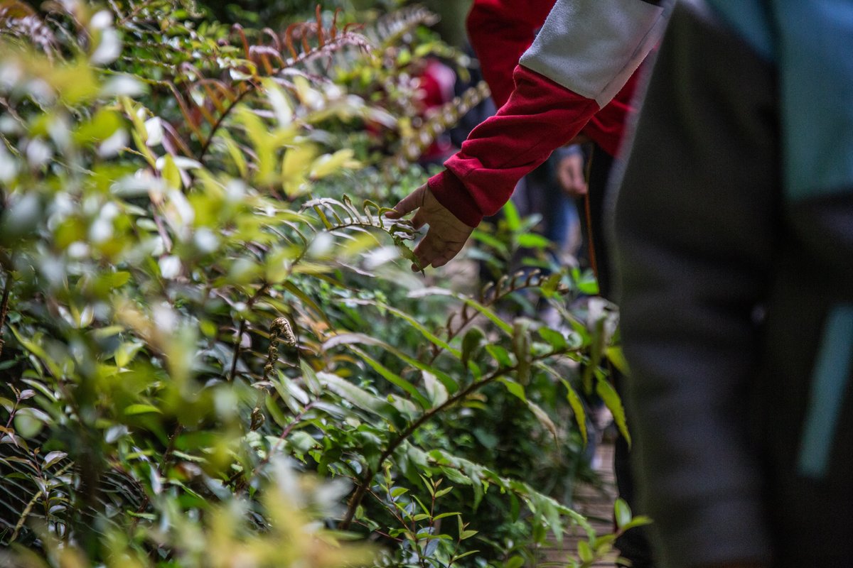 Fundación Rewilding Chile tweet media