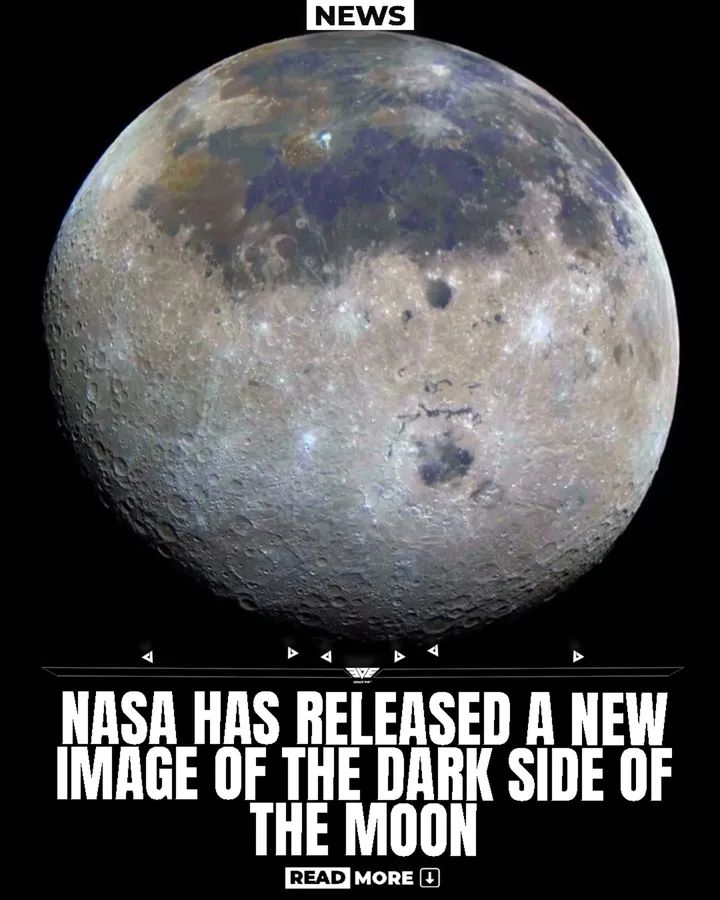 Black Hole tweet media