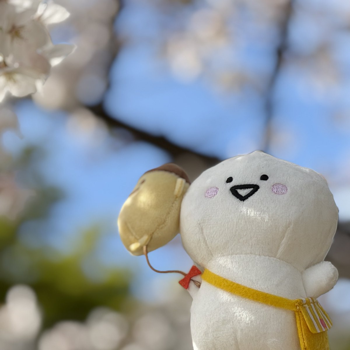 ぽくぽくと tweet media