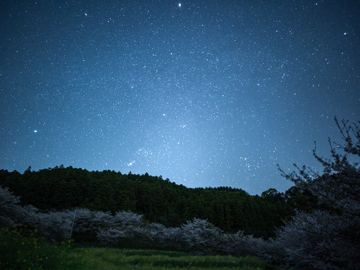 reject_dispute's tweet image. 今日
#Leitzphone #Xiaomi17Ultra #Xiaomi #Leica #XiaomiStoreJapan #桜 #星空