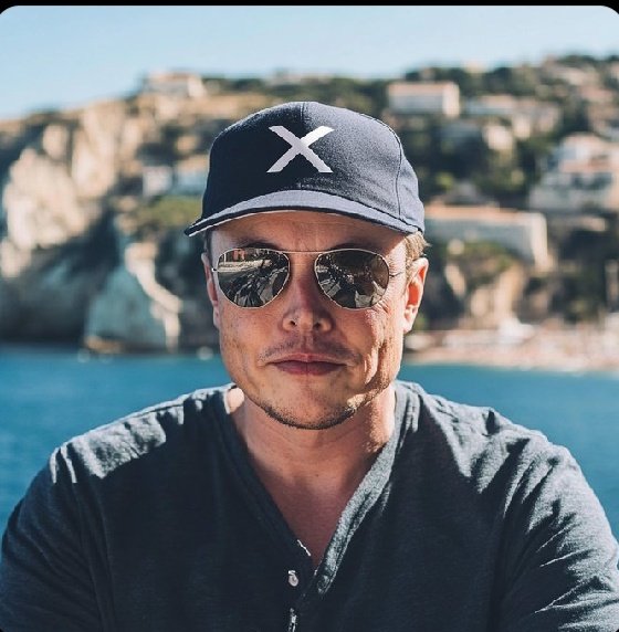 (VIP) Elon Musk tweet media