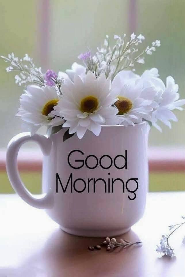 Patrick Luka tweet media