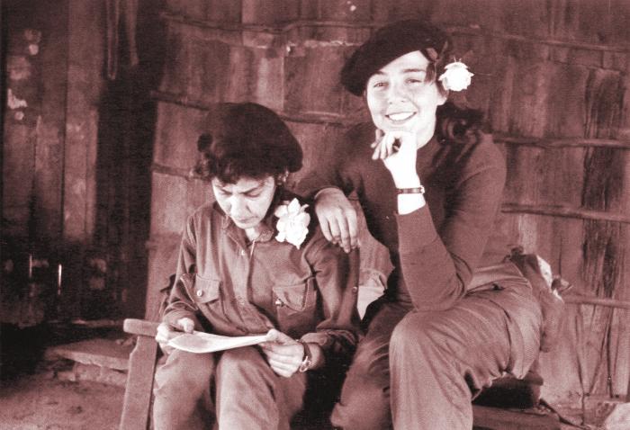 COPEXTEL tweet media