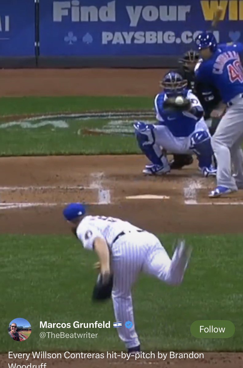 Hoggy wonder tweet media