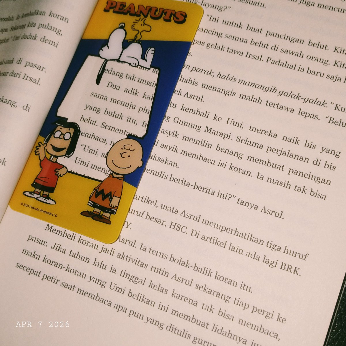 hale²⁷ 🧤 tweet media