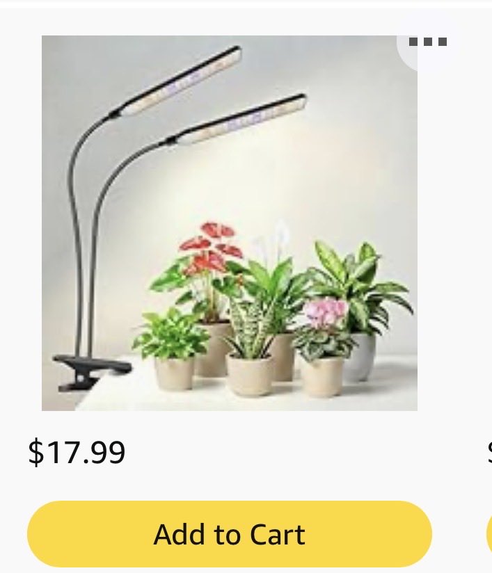 msv430's tweet image. We would LOVE to grow some eucalyptus in our classroom. Its aromatic, purifies air, and reduces anxiety. 🌱 

#specialneeds #clearthelist #educator #april #autism 

amazon.com/hz/wishlist/ls…